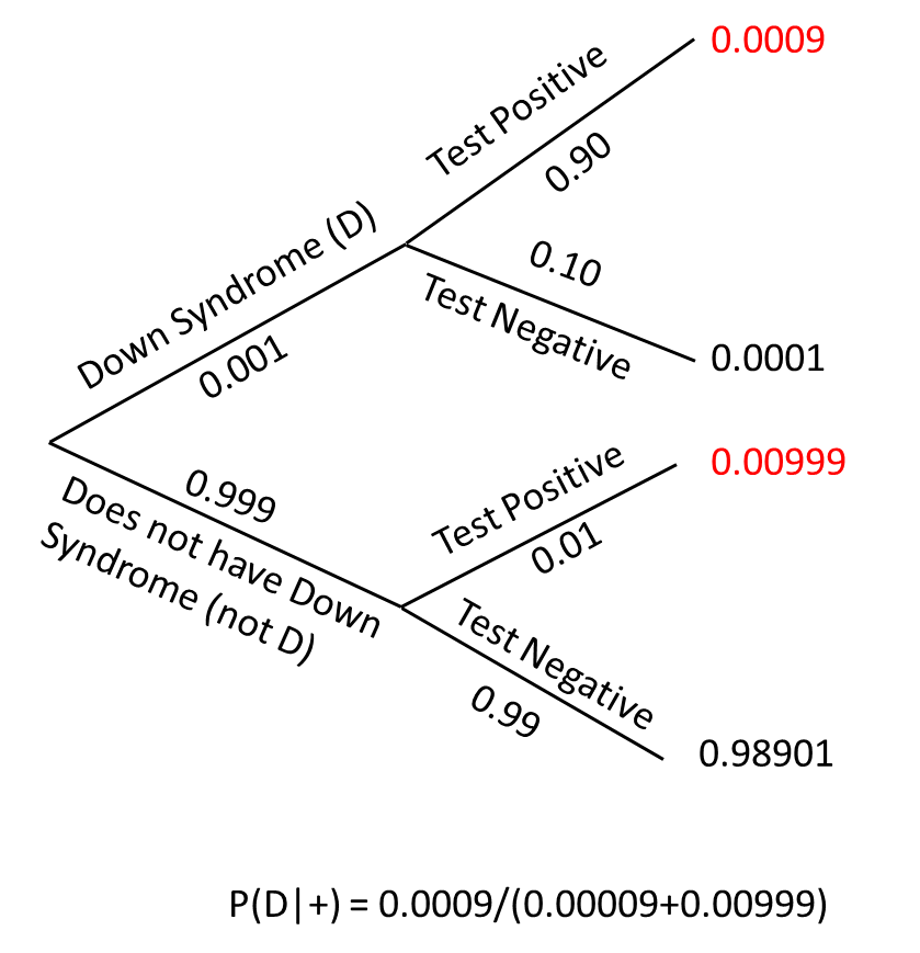 Probability tree for calculating the probability that a child will have Downs Syndrome given the mother tests positive.